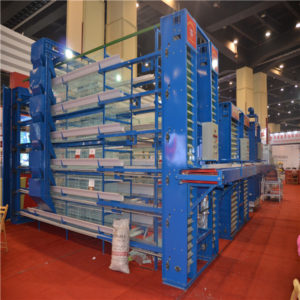 H type 5 tier layer cage 300x300